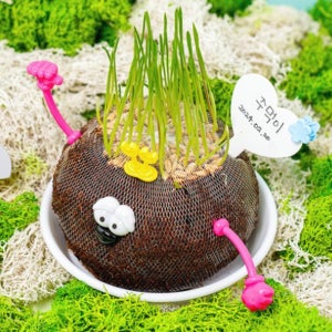 잔디 인형 키우기 잡초 머리 인형 토피어리 식물 만들기