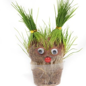 잔디 인형 키우기 잡초 머리 인형 토피어리 식물 만들기