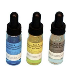 혈액형 검사 키트 항원항체 반응 판정 초등 과학 실험 키트