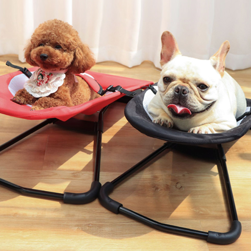 강아지해먹 고양잉침대 애견캠핑 흔들해먹