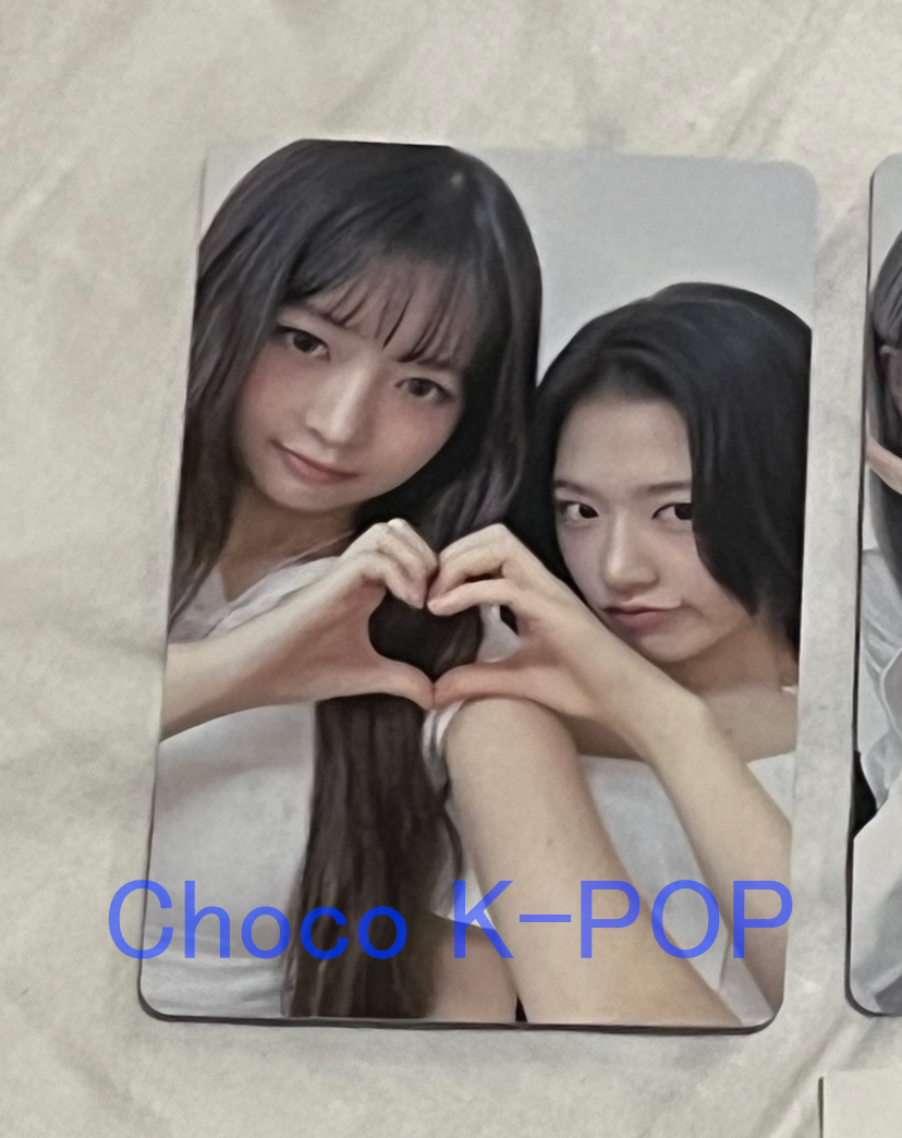 아이브 일본 도쿄돔 공연 스위치 앨범 2일차 특전 포토카드 두콩즈 아깽즈 단장즈