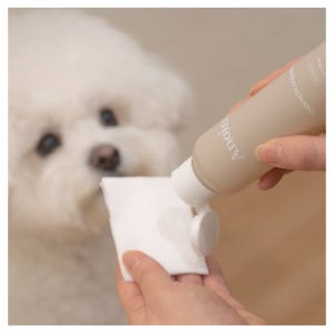 말티즈 눈물 자국 반려견 고양이 파우더 지우개 눈물 세정제 120ml 1개