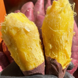 야채도사 시그니처 토울 꿀밤 고구마