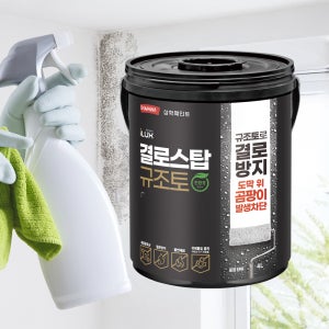 결로 방지 규조토 페인트 실내 베란다 도장면 곰팡이 억제 셀프 아이럭스 결로스탑 1L 백색