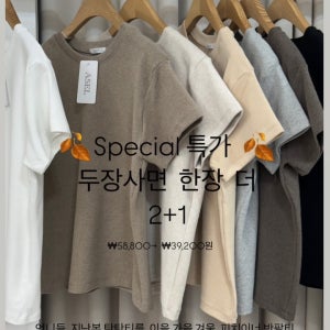 (2+1 기획전)아셀미니 피치 반팔 티셔츠(8 Col) 도톰 가을 간절기 이너 기본 쫀쫀