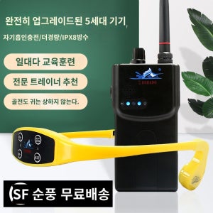 수영 귀걸이형 수중 헤드셋 스포츠 강습 교육 이어폰