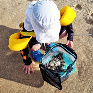 어린이 채집통 곤충채집 관찰놀이 물고기 잠자리 바다 조개잡이