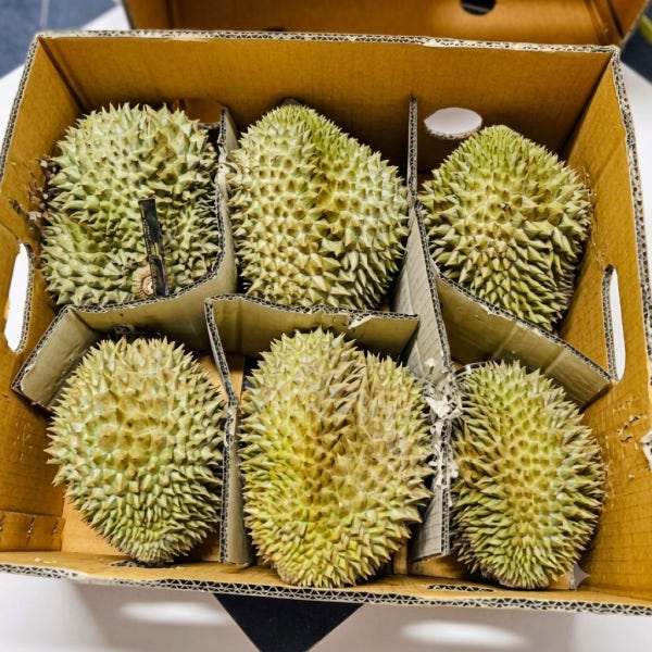 9kg 내외(5-7수) 태국 생 두리안 통두리안