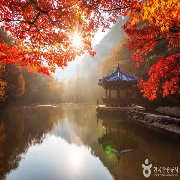 국악와인열차 11월 10,14,15,17일 정읍 내장산 단풍 여행(당일)