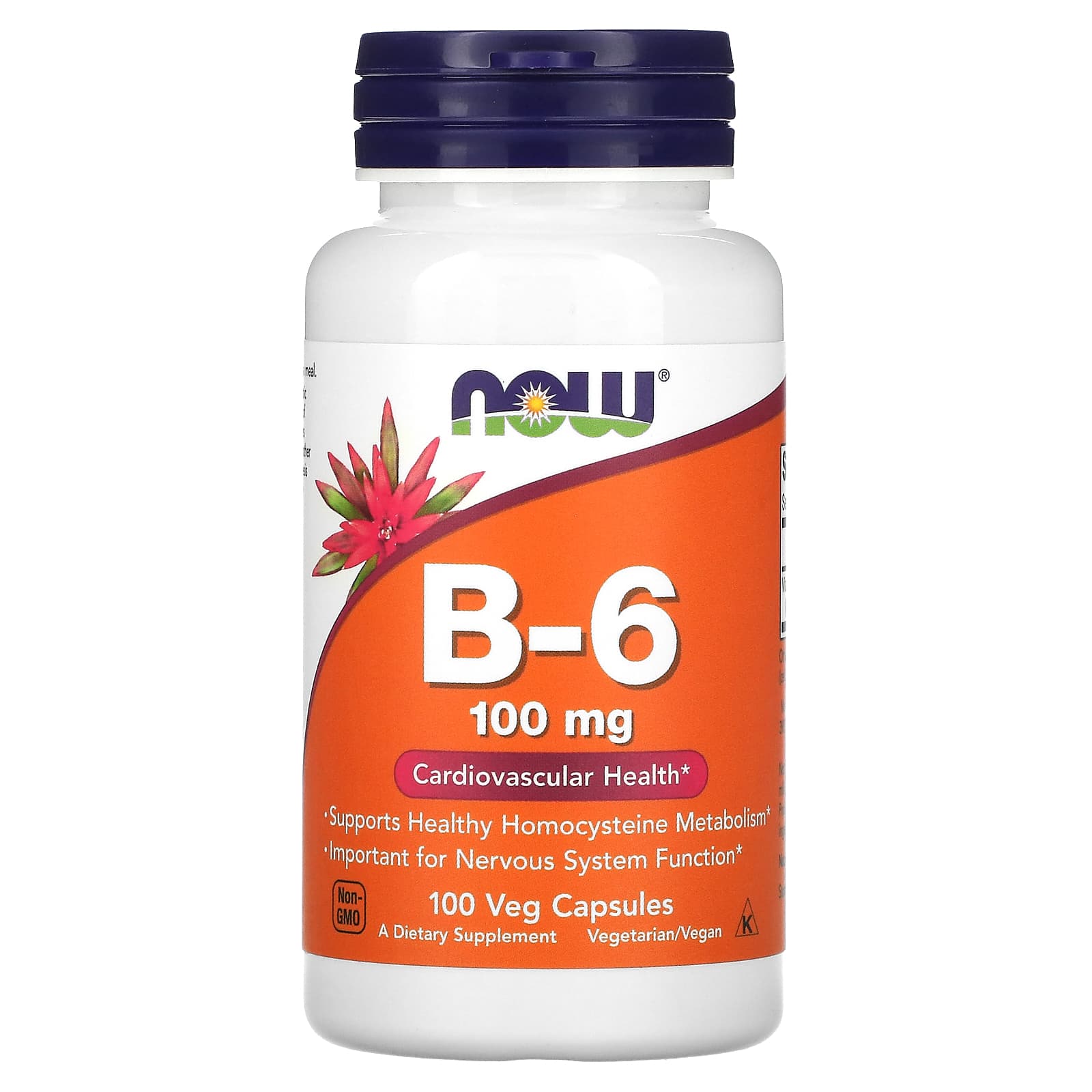 <b>나우푸드 비타민B6</b> 비타민비 100mg 100베지캡슐