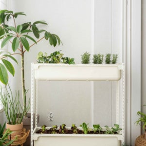 조립식 철제 화분 텃밭 옥상 베란다 텃밭 화분 상추 키우기 하비팟 단독 아임랙