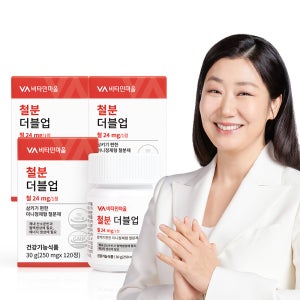 [12개월분] 비타민마을 철분 더블업 미니 정제형 철분제 120정, 3개