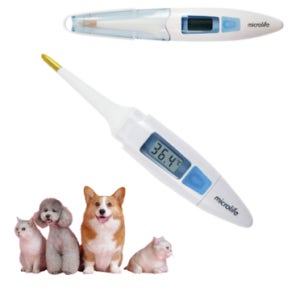 강아지 체온계 고양이 전자 반려 동물 체온 측정 온도계