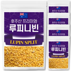The큰나무 최상급 호주산 루피니빈 루핀콩 파바빈 렌틸콩 병아리콩 1kg, 5개