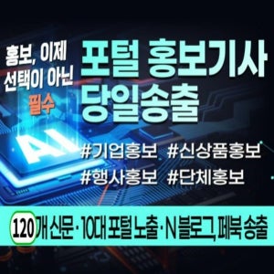 [디럭스] 신문기사 5건 송출 (60개신문송출 10대 포털 노출 N블로그 SNS)