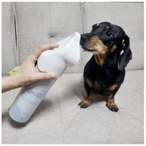 강아지 산소 캔 반려 동물 휴대용 산소 호흡기 655ml x 2개