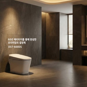 (부산 양산 울산 창원 마산 진해 장유 김해)대림바스 일체형비데 양변기교체 DST-6000