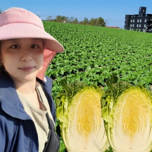 으뜸밭 2025년 해남 절임배추 절인배추 20kg