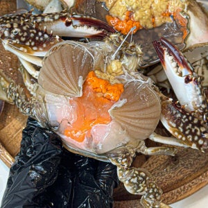 통수산 서해안 톱밥 활암꽃게 2kg 3kg 알배기 비율 90%이상 제철