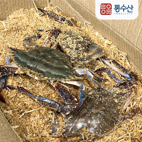26년 프리미엄 서해안 톱밥 활꽃게 2kg 3kg 생존율 UP!