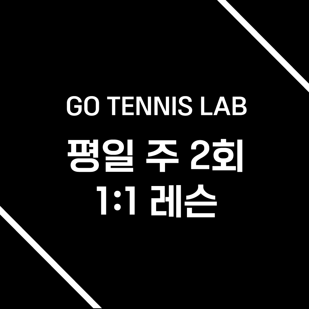 [평일레슨] 주 2회, 1:1