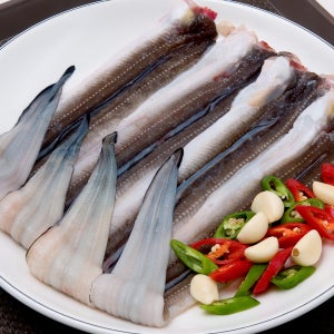 훈씨네 통영 손질 바다장어 1kg 붕장어 아나고 구이용