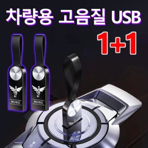1/1+1 고음질 usb 차량용 대용량 무손실 음악 메모리