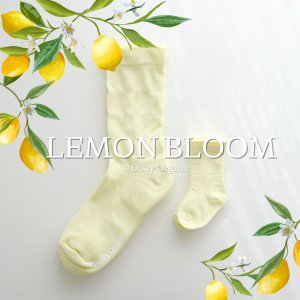 (1+1) 데이지오가닉 산후 조리원 임산부 무압박 양말 레몬블룸 콜렉션 (뉴에센셜 올뉴브리즈 백일아기양말)