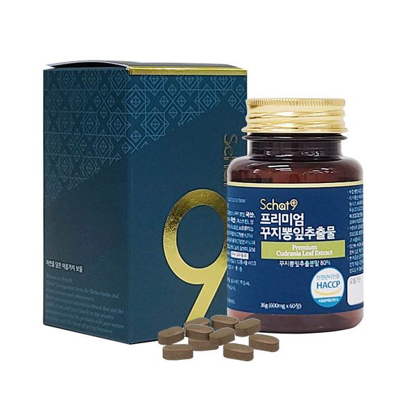 스캇나인 <b>꾸지뽕 잎 추출물</b> 추출분말 60정