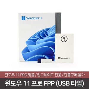 윈도우11 프로 FPP(USB타입)