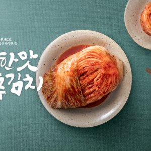 영월 포기김치 국산재료 식당반찬 고랭지배추 김치맛집