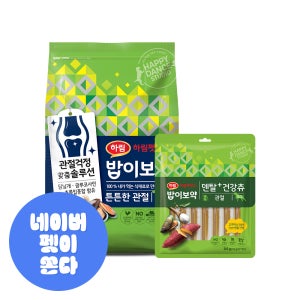 밥이보약 강아지 사료 (3.4kg) + 덴탈 건강츄 (12gx7개) (튼튼한 관절) 강아지덴탈껌