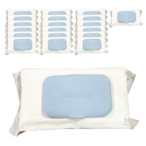 베베숲 모이스처 물티슈 캡형 80매, 20개