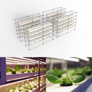 스마트팜 수경재배기 120구 컨테이너팜 4단 3열 모듈형