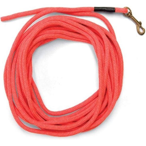 반려 용품 강아지 물품 목줄 SportDOG Brand Orange Check Cord -