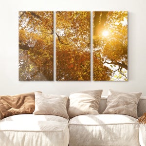 유럽감성 거실 인테리어 분할 단풍나무아래 3세트 중소형(세로30cm x 3개 세트)