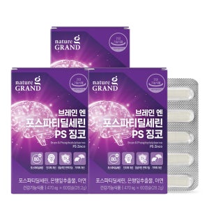 네이처그랜드 브레인 포스파티딜세린 PS 징코 두뇌 은행잎추출물 인지력 60캡슐, 3개