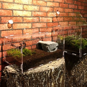 HK sell 스몰스터 도마뱀 절지동물 하우스 사육 케이지