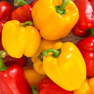 농가살리기 가정용 못난이 파프리카 (사이즈/색상랜덤) 1kg 2kg 4kg