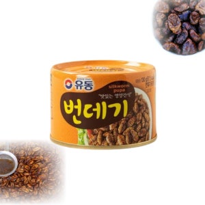 유동 번데기 통조림 130g 280g 번데기효능