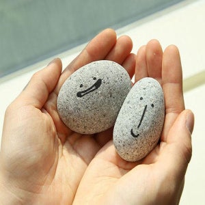 애완돌 반려돌 애완용 돌키우기 반려석 쓸모없는 쓸데없는 선물