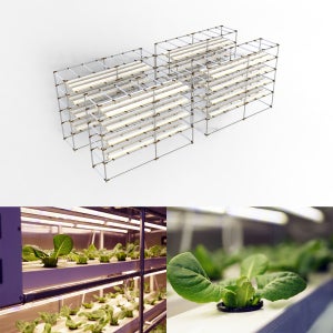 스마트팜 수경재배기 NFT 박막식 120구재배 컨테이너팜 4단 3열 모듈형 조립후 출고