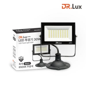 LED 투광기 투광등 30W, 주광색, 블랙바디