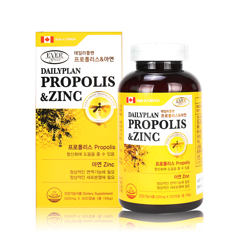 <b>에버그린</b> 데일리플랜 프로폴리스&amp;아연 520mg x 300캡슐 항산화 정상적인 면역 기능