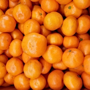 당일수확 제주 극조생 조생 귤 노지감귤 노지귤 고당도 밀감 3kg 5kg 10kg 중소혼합