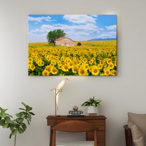 풍수 금전운 거실 인테리어 집들이 개업 선물 내 집마련 해바라기 캔버스액자 6호[40.9X27.3cm]