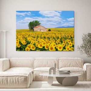 풍수 금전운 거실 인테리어 집들이 개업 선물 내 집마련 해바라기 캔버스액자 80호[145.5X97cm]