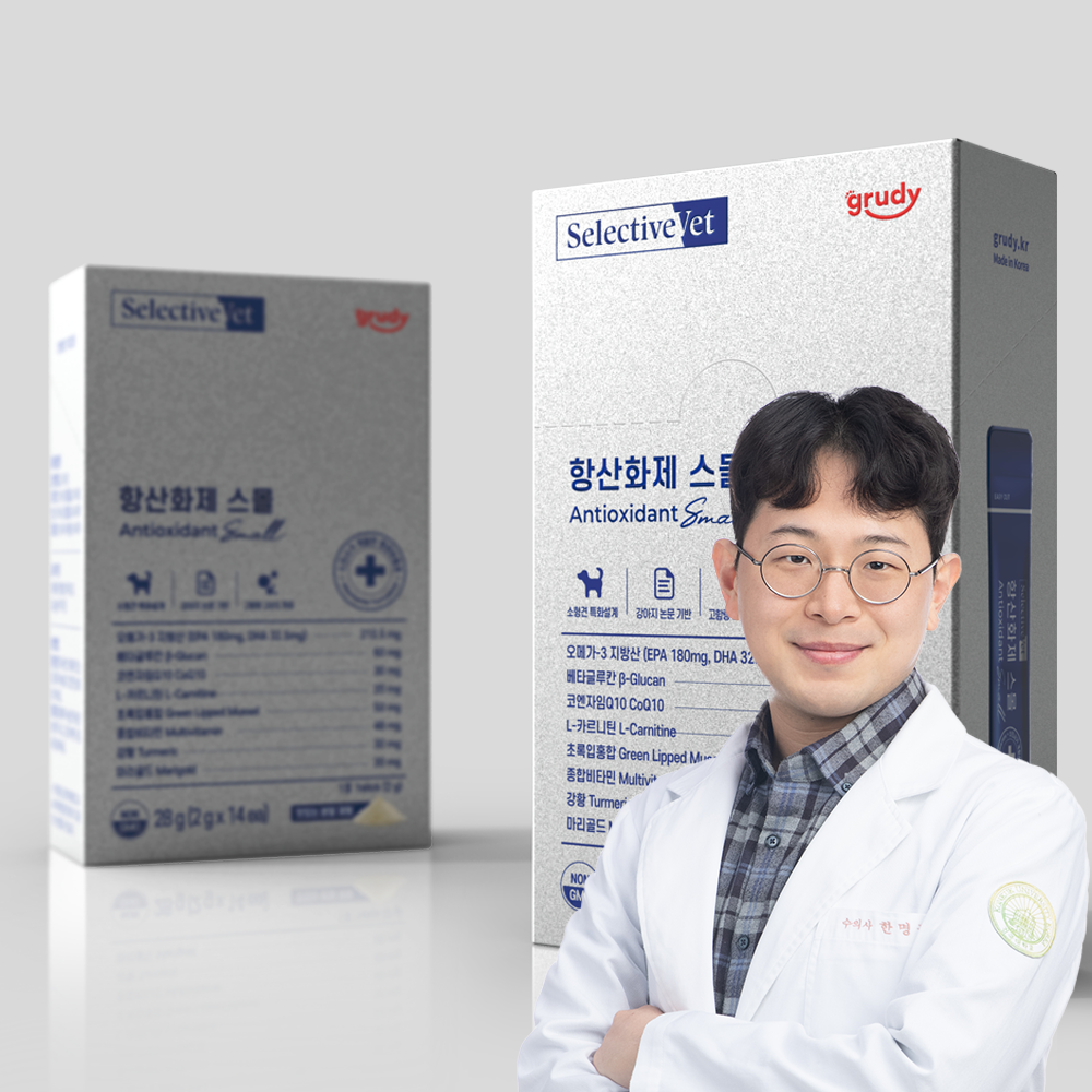 펫 헬스케어 앱