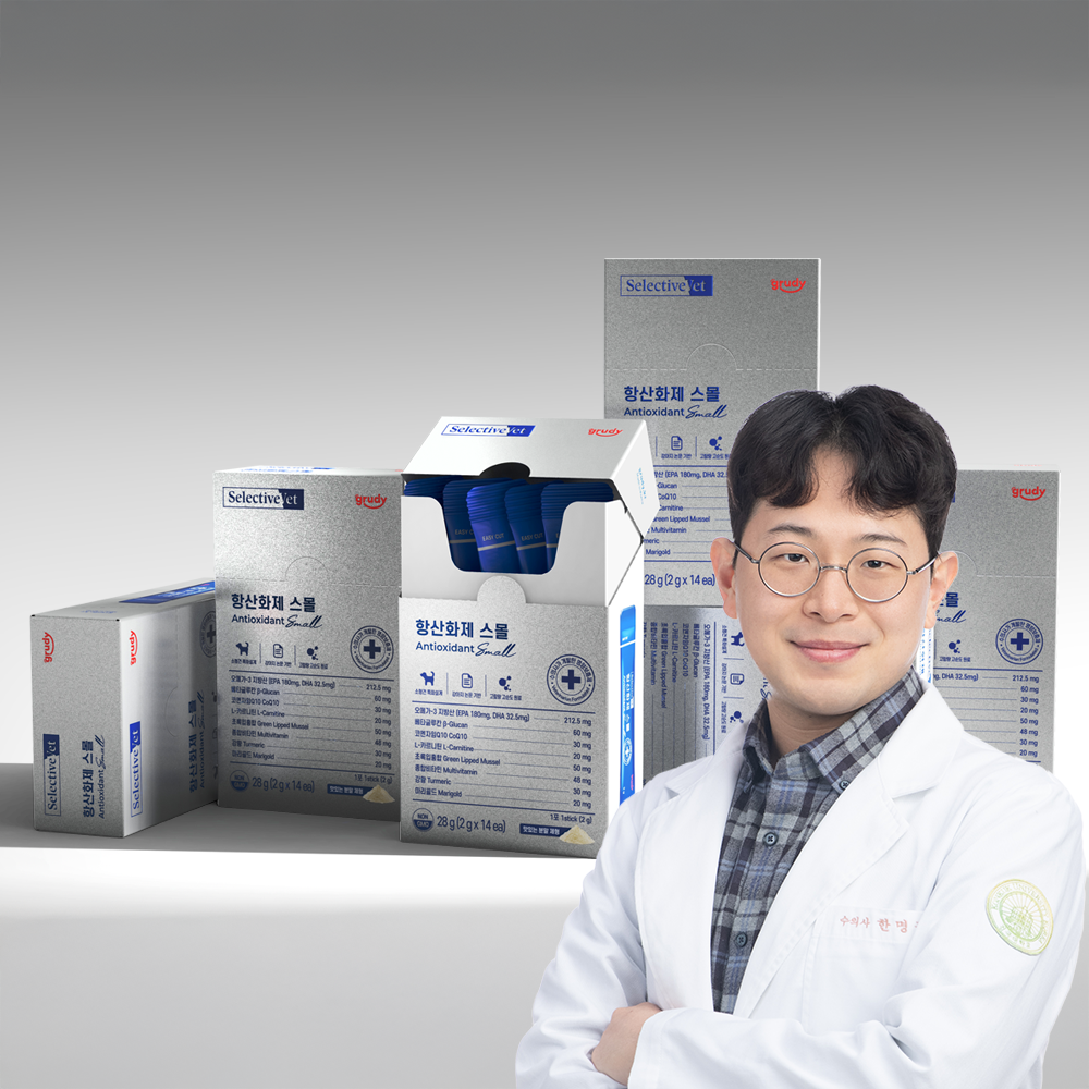 펫 헬스케어 앱