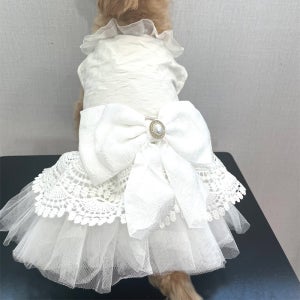 오멍 강아지 웨딩드레스 화견 셀프 촬영 원피스